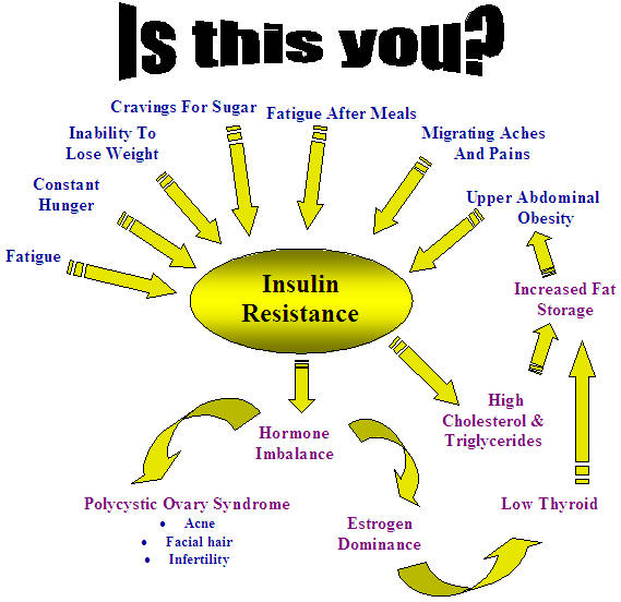 how-to-increase-insulin-sensitivity-mojo-multiplier-build-muscle