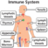 10 Ways To Strengthen Your Immune System
